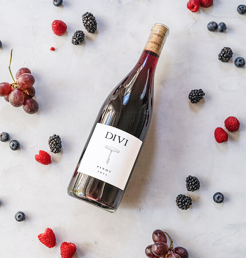 winery-20